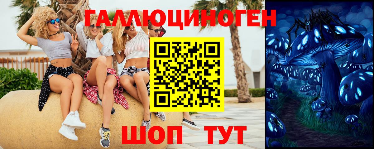 Псилоцибиновые грибы мухоморы Казань