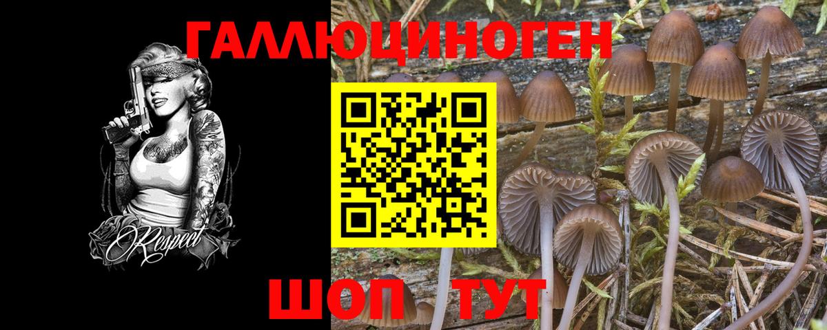 Псилоцибиновые грибы Psilocybe  Псилоцибиновые грибы MAGIC MUSHROOMS  Вход с VPN  Казань 
